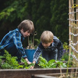 Three Tree Montessori School