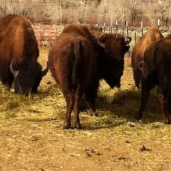 Taos Indian Horse Ranch