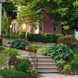 Bettiol Chiropractic & Alternative Therapies, LLP
