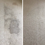 Photo of Pine Fresh Carpet Cleaning