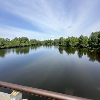 Lettuce Lake Park - Lookout - Parks Near Me - Tampa, Florida