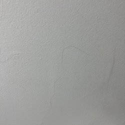Wolfeboro Inn - Hair on the walls