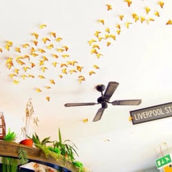 The Birdcage