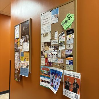 The Cafe Meow - May 2025 - Coffee & Tea Near Me - Roseville, Minnesota The Cafe Meow - May 2025 - Coffee & Tea Near Me - Roseville, Minnesota