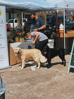 Rice Village by null