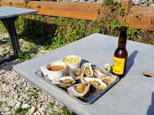 Clausen Oysters by null