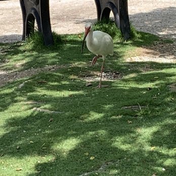 Naples Zoo - One up one down. - Zoos Near Me - Naples, Florida