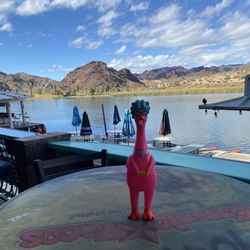 The Sundance Saloon - The chicken our granddaughters had us bring on our road trip. Screwball enjoys all the adventures