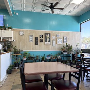 Nancy's Sky Garden - Interior - Gluten-Free Near Me - Austin, Texas Nancy's Sky Garden - Interior - Gluten-Free Near Me - Austin, Texas