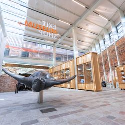 MEERESMUSEUM Stralsund - Im neugestalteten Eingangsbereich begrüßt ein Bronze-Abguss der Schildkröte "Marlene" die Gäste (©Anke Neumeister/Deutsches Meeresmuseum)
