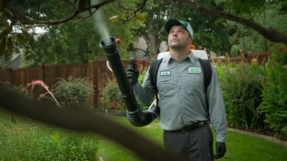 Gecko Green Lawn Care - tree service in Richardson, TX