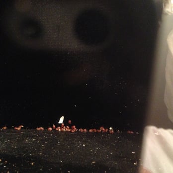 Petals Inc. - Bugs in my preserved bouquet!!! - Florists Near Me - Peabody, Massachusetts