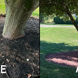 Blade Lawn Care