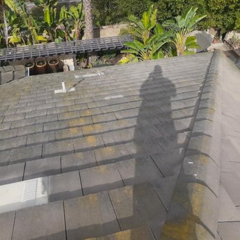 Jetstream Power Wash - Moss on roof before power wash - Pressure Washers Near Me
