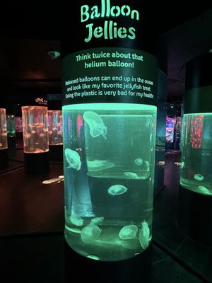 SEA LIFE at Mall of America by null