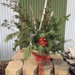 Branch Landscape Nursery - Winter pot