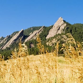 Shelby Downs - 8z Real Estate - Real Estate Agents Near Me - Boulder, Colorado Shelby Downs - 8z Real Estate - Real Estate Agents Near Me - Boulder, Colorado