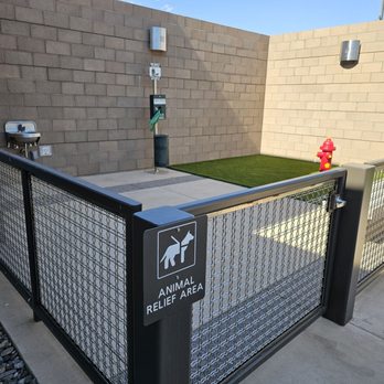 Mesa Gateway Airport - Animal / pet relief area - Airports Near Me - Mesa, Arizona Mesa Gateway Airport - Animal / pet relief area - Airports Near Me - Mesa, Arizona