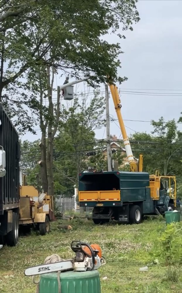 FREEPORT TREE SERVICES Request a Quote Freeport, NY Yelp