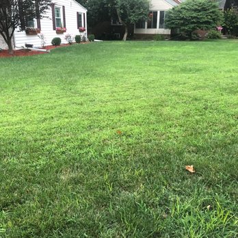 SpringGreen - Our corner lot...... - Tree Services Near Me - Peoria, Illinois