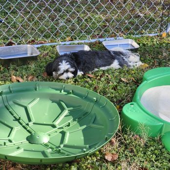 Little Pups Pet Resort - Pet Boarding Near Me - Anderson, South Carolina Little Pups Pet Resort - Pet Boarding Near Me - Anderson, South Carolina