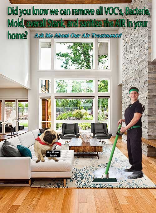 GREENWAY CARPET CLEANING OF SUMMERLIN Updated September 2024 126