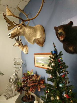 Chicago Game & Gourmet by null