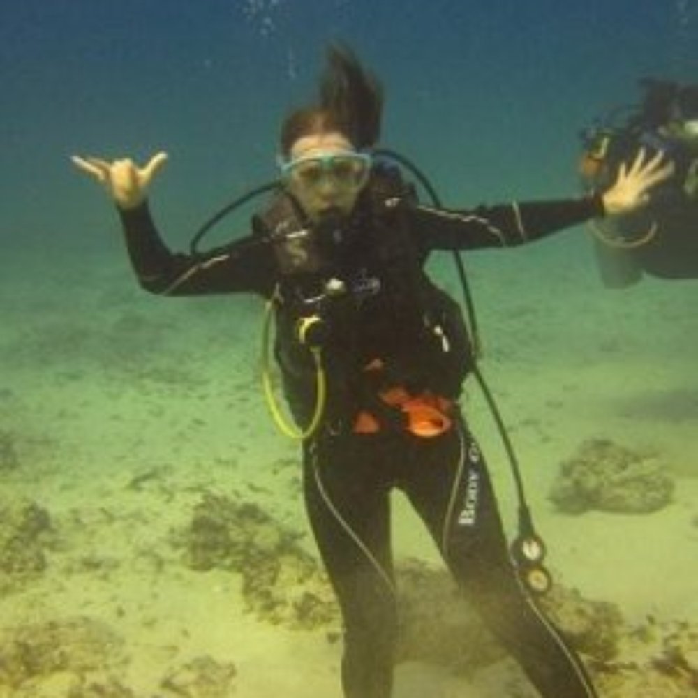 Oahu Diving - shaka from hawaii! - Scuba Diving Near Me - Honolulu, Hawaii