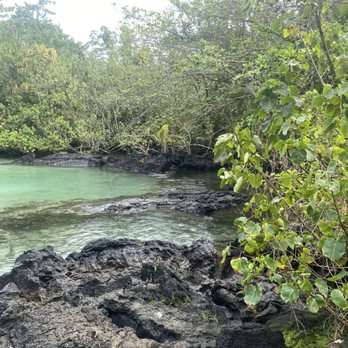 Aaron's Cottage - Carlsmith beach less than 2 mi away - Hotels Near Me - Hilo, Hawaii