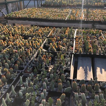 OC Succulents - Nurseries & Gardening Near Me - Irvine, California OC Succulents - Nurseries & Gardening Near Me - Irvine, California