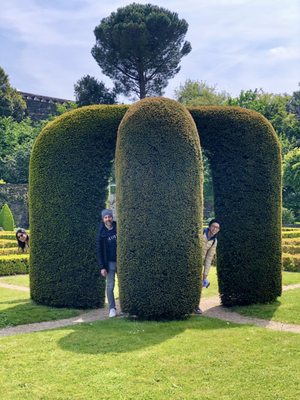 Château d'Angers by null