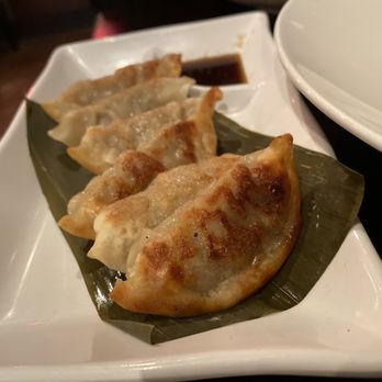 Blossom Asian Bistro - a plate of dumplings - Asian Fusion Near Me - Wayne, New Jersey