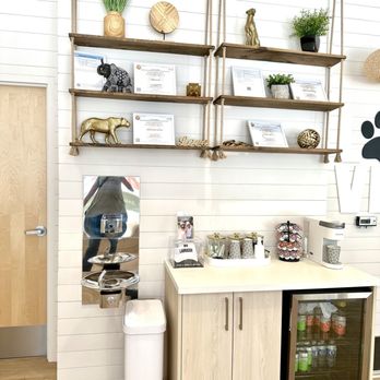 Goodvets - Wynwood - Refreshment area - Veterinarians Near Me - Miami, Florida