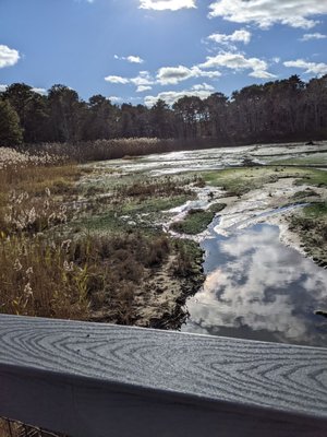 Mass Audubon Wellfleet Bay Wildlife Sanctuary by null