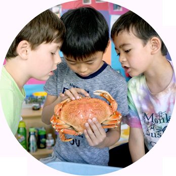 Shu Ren International School - Preschools Near Me - Berkeley, California Shu Ren International School - Preschools Near Me - Berkeley, California