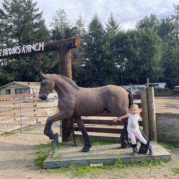 Five Brooks Ranch - Horseback Riding Near Me - Olema, California