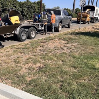 MTC Tree Care - Yesterday, last day on job getting ready to leave early. - Tree Services Near Me