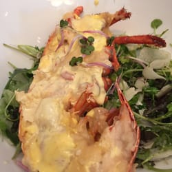 Van Buuren - Lobster Thermidor