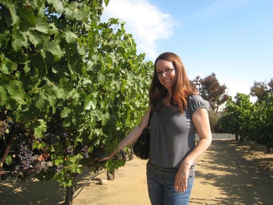 Edna Valley Vineyard by null