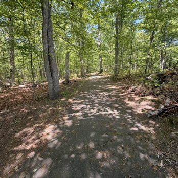 Woodlot Park - Trail - Parks Near Me - Monmouth Junction, New Jersey Woodlot Park - Trail - Parks Near Me - Monmouth Junction, New Jersey