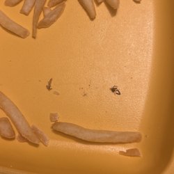 McDonald's - The body of a bug and something else in my French Fries
