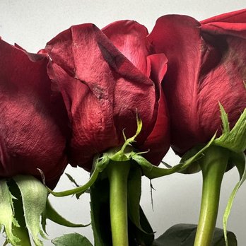 Fleur de Lis Florist - Florists Near Me - Chicago, Illinois