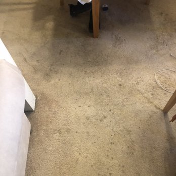 EasiClean - Before EasiClean - Carpet Cleaning Near Me