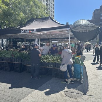 Union Square Greenmarket - Farmers Market Near Me - New York, New York Union Square Greenmarket - Farmers Market Near Me - New York, New York