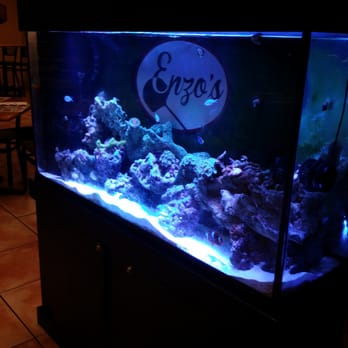 Enzo's - Enzos fish tank! - Italian Near Me - Sunrise, Florida
