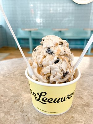 Van Leeuwen Ice Cream by null