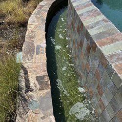 Malatesta Family Pool Company - This is how our through looked after stating they cleaned it and equipment was working...turn out they didn't clean it and filed was broken.