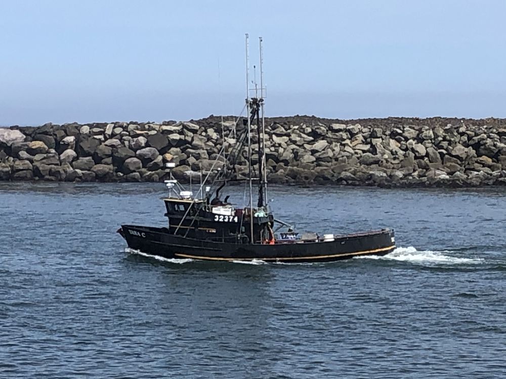 SOUTH BEACH STATE PARK 115 Photos & 55 Reviews Parks Newport, OR