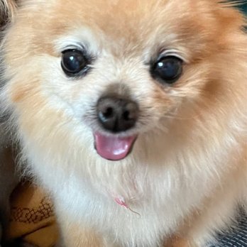 Barkin' Creek - Zilker - Pet Stores Near Me - Austin, Texas Barkin' Creek - Zilker - Pet Stores Near Me - Austin, Texas