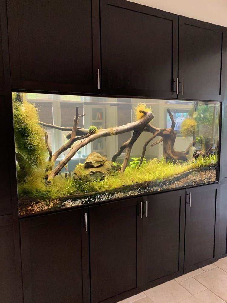 SAN DIEGO AQUARIUMS 34 Photos San Diego, California Aquarium